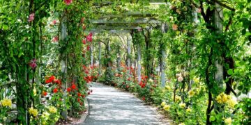 La transformation des espaces urbains pour redéfinir la ville de demain